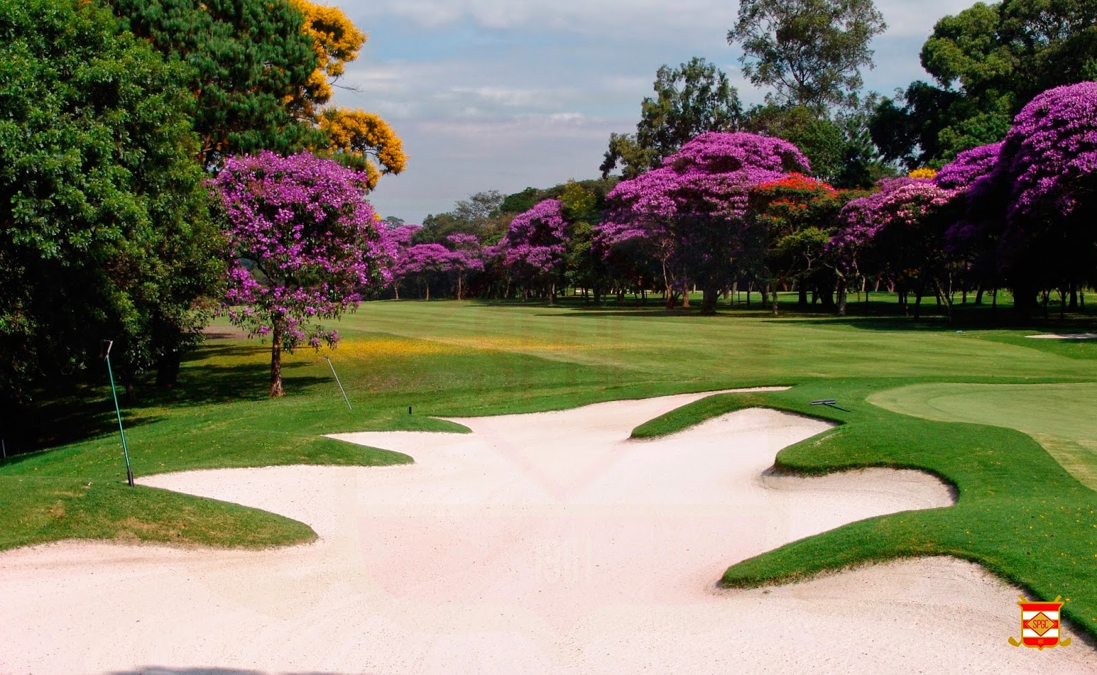 Tree lined fairway and clubhouse grounds at Sao Paulo Golf Club in Santo Amaro, the oldest golf club in Brazil
