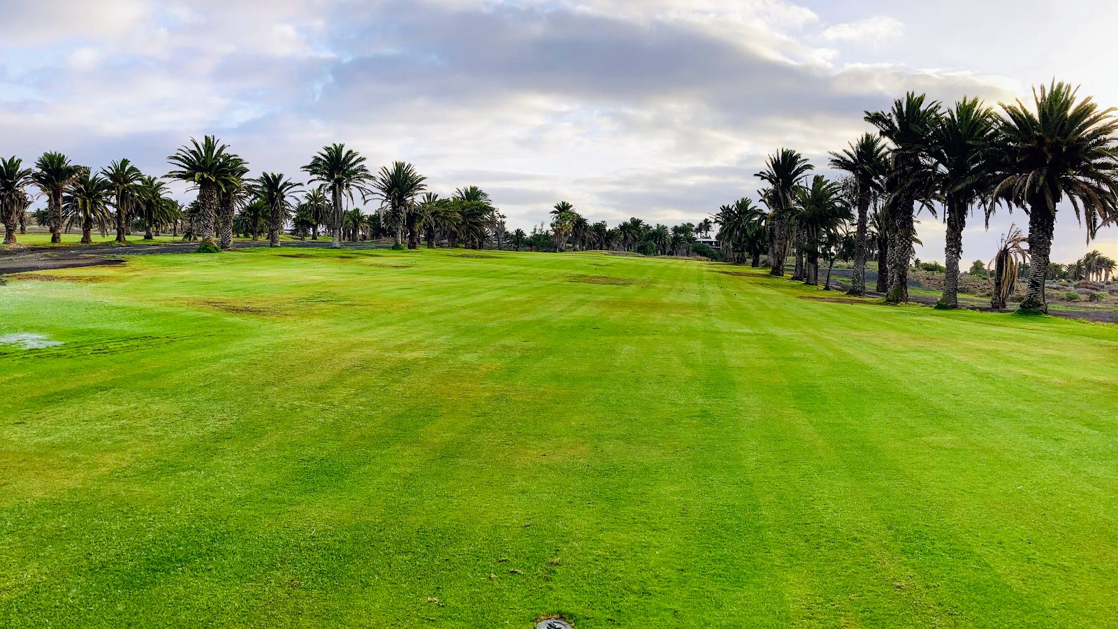 Costa Teguise Golf, palm lined fairways under the volcano, Lanzarote