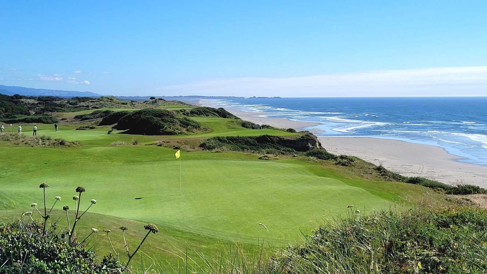 Pacific Dunes at Bandon Dunes, Tom Doak links above the Oregon coast