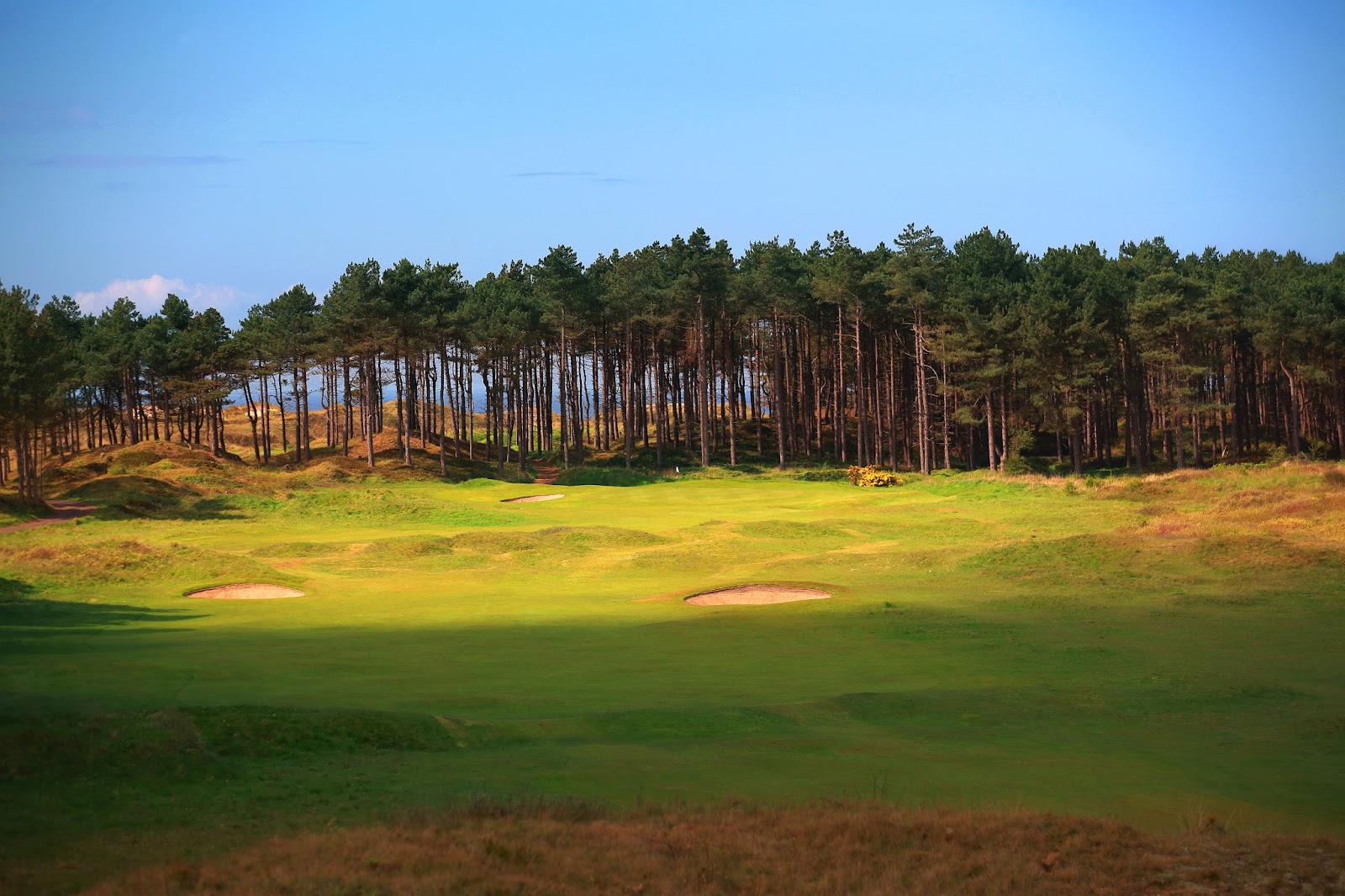 Formby Golf Club, a links fairway running between dunes and Scots pine on the Sefton Coast, England