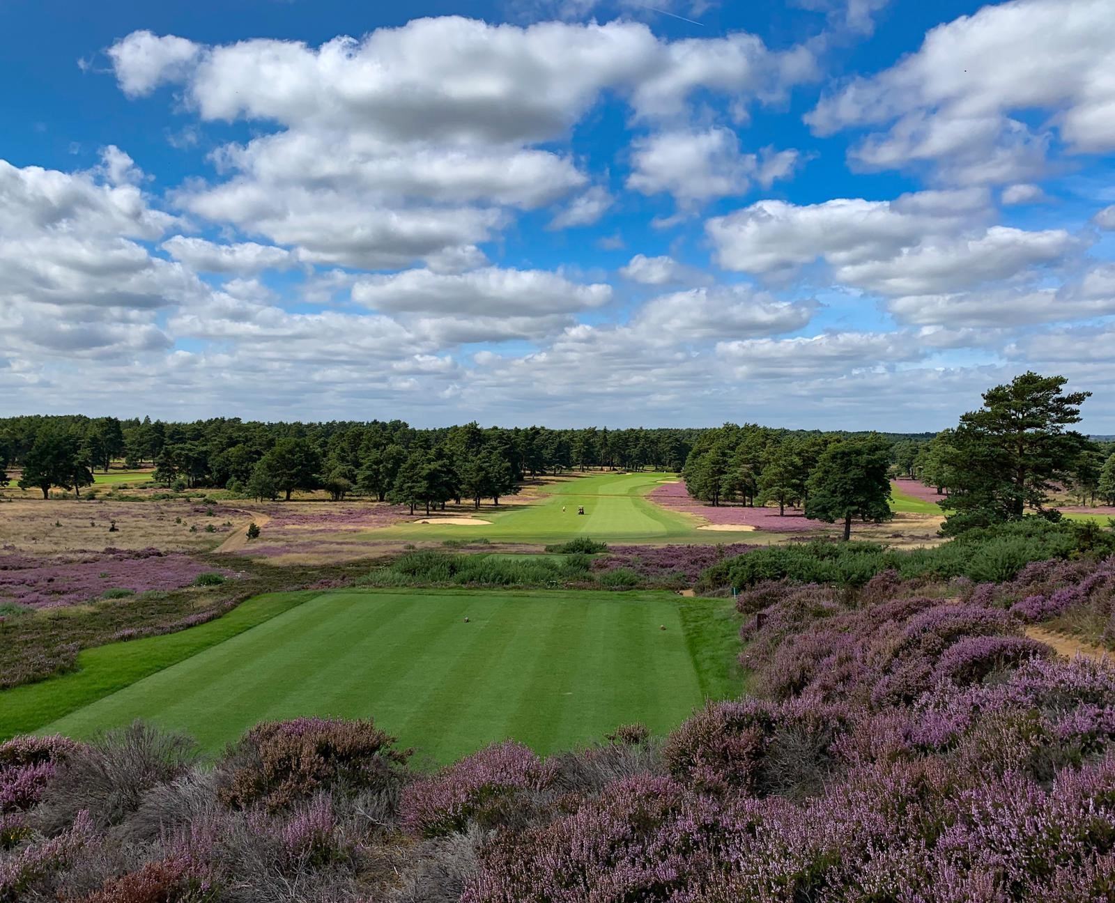 Hankley Common open heathland fairways framed by heather and pine at Tilford, Surrey, England