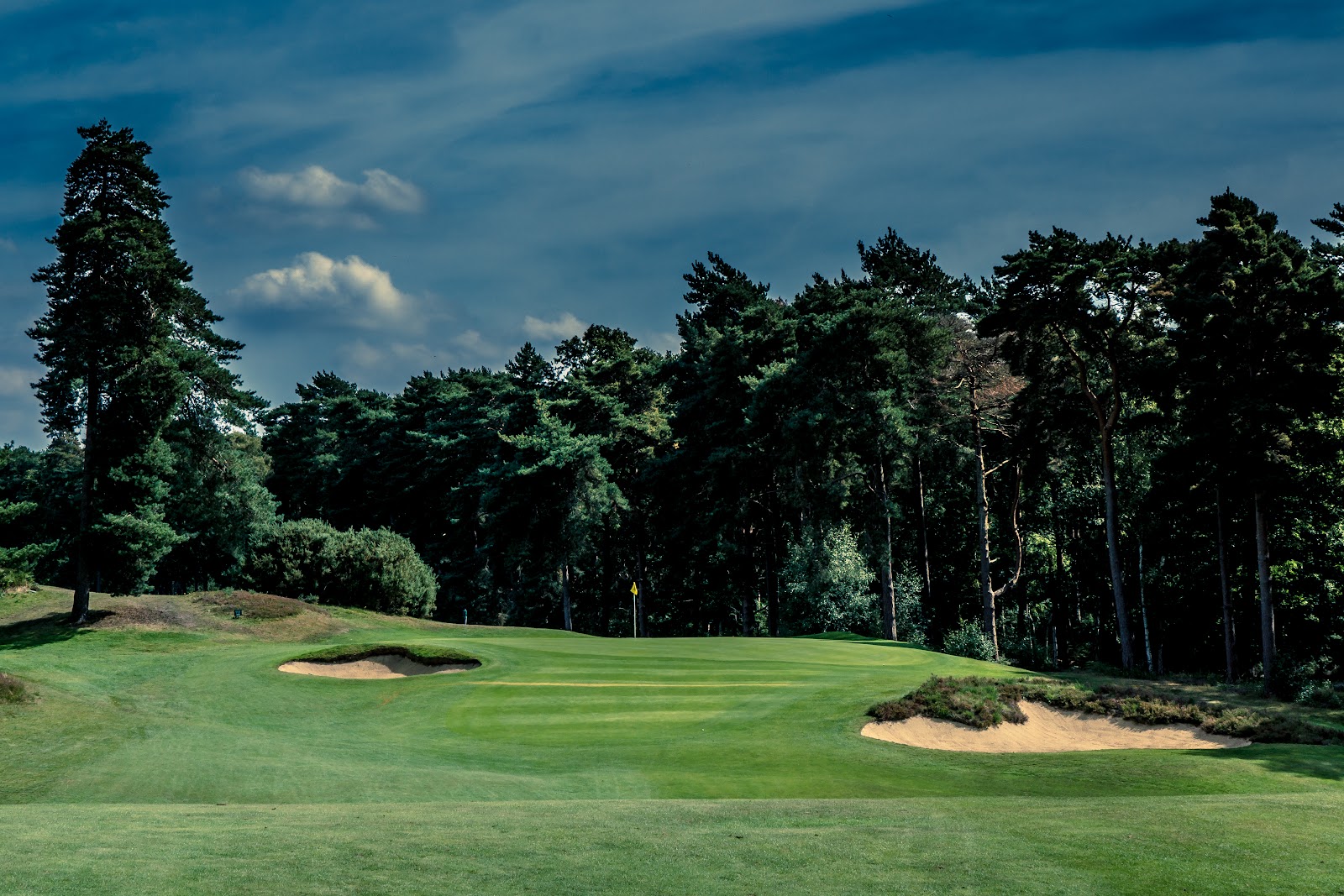 St George's Hill Golf Club, Weybridge, heather framed heathland fairways tumbling through pine and birch in Surrey, England