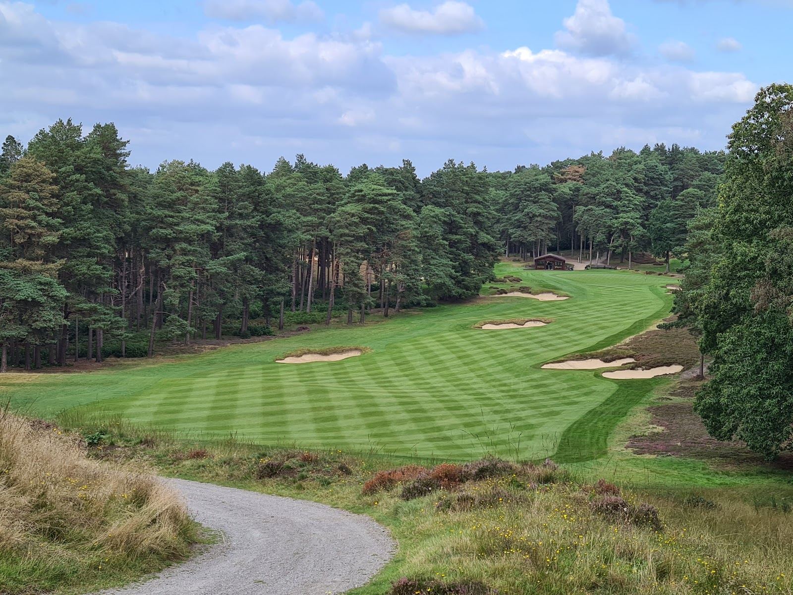 Sunningdale New Course heathland fairways framed by heather and pine in Berkshire, England