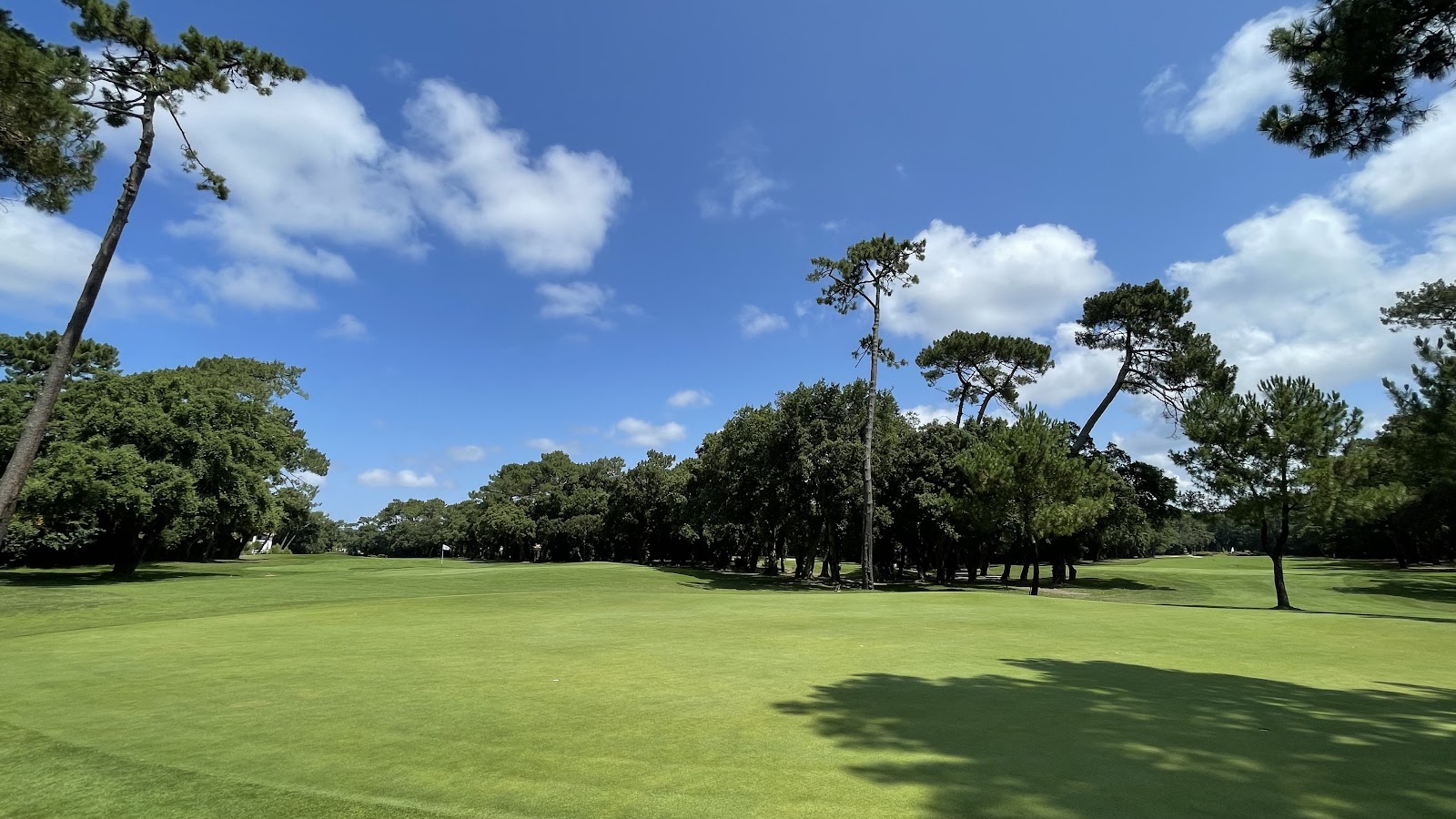 Golf d'Hossegor, fairway lined by maritime pines in the Landes forest of southwest France
