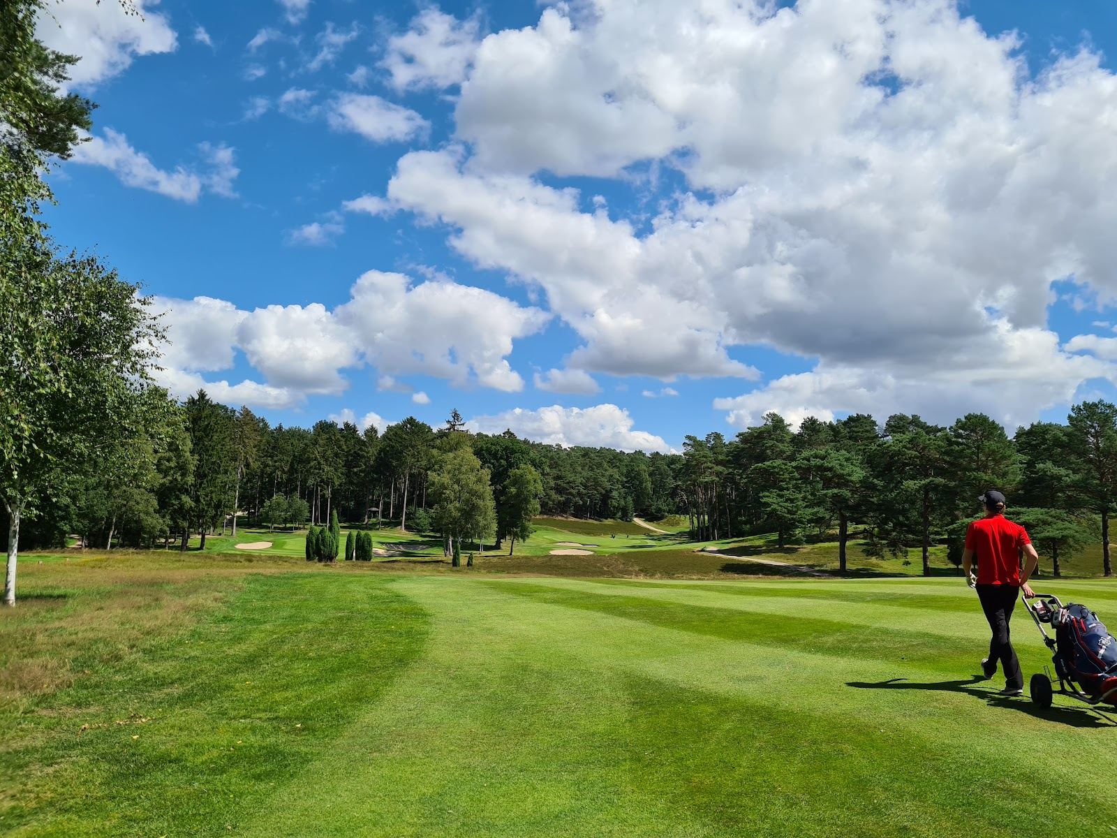 Hamburger Golf Club Falkenstein, heathland fairway framed by heather, pines and birch trees