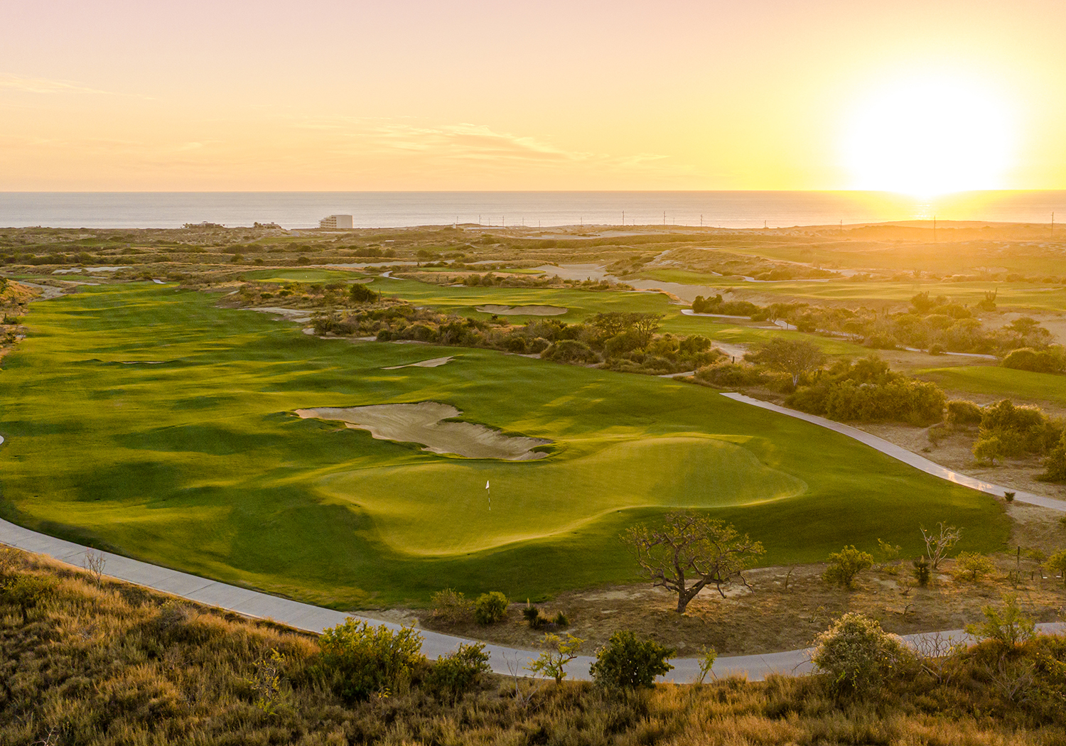 El Cardonal at Diamante golf course in the desert uplands above the Pacific at Cabo San Lucas, Mexico