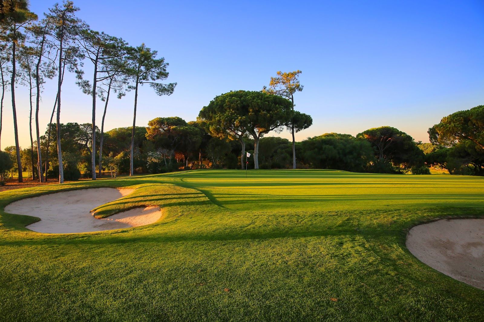 Dom Pedro Old Course, a fairway framed by mature umbrella pines at Vilamoura, Algarve, Portugal