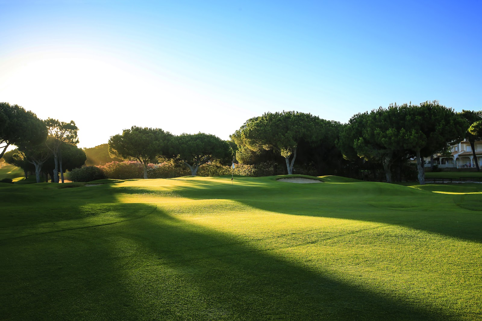 Dom Pedro Pinhal golf course, fairways winding through umbrella pines in Vilamoura, the Algarve, Portugal