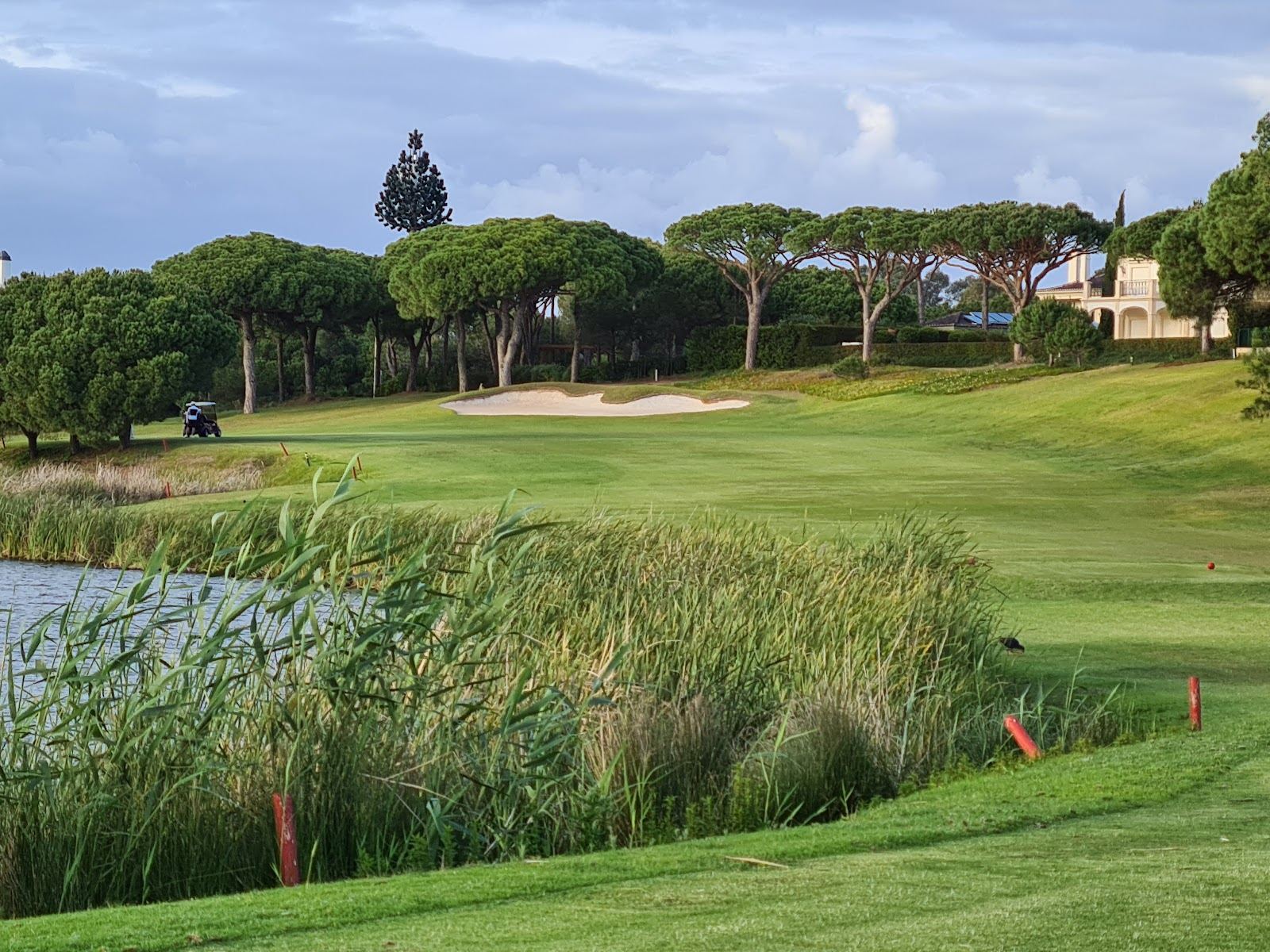 San Lorenzo Golf Course, pine framed fairways running down to the Ria Formosa lagoon at Quinta do Lago, Algarve, Portugal
