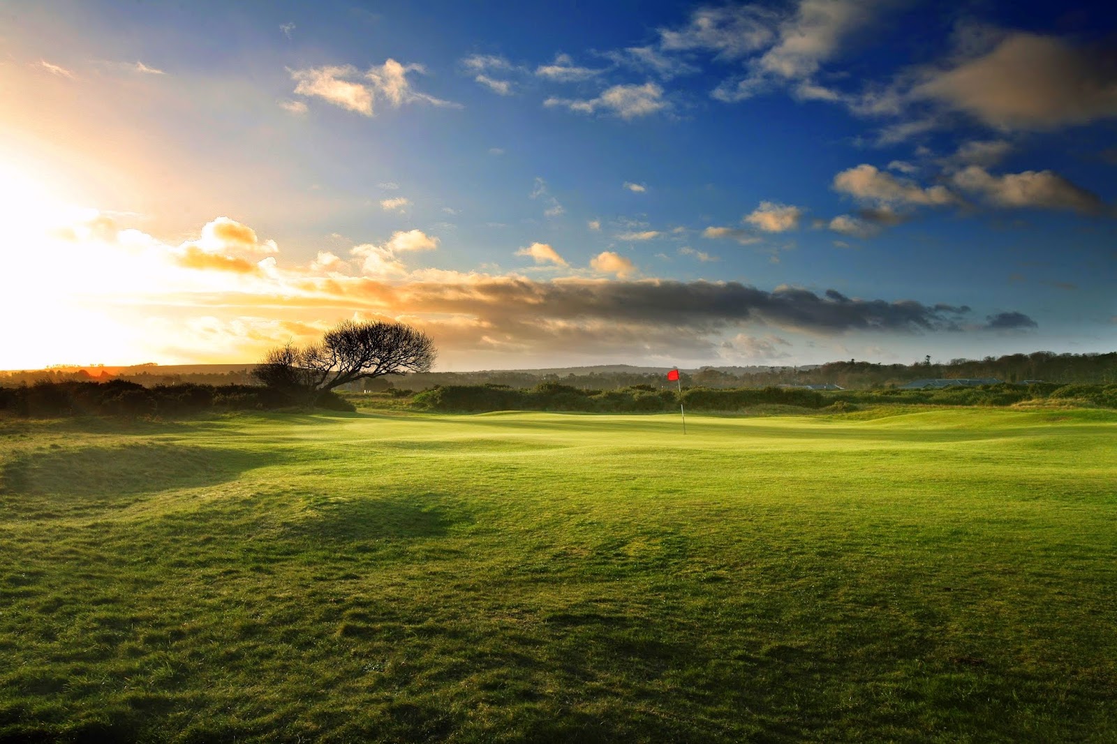 The New Course at St Andrews, links turf and gorse in the dunes beside the Old Course