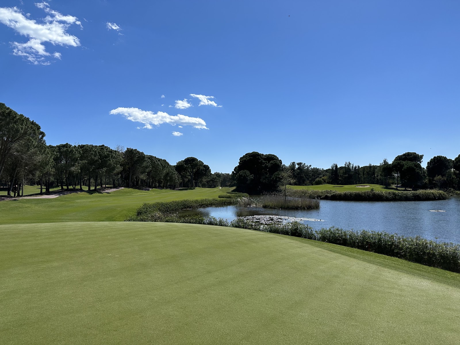 The National Golf Club Belek, fairways cut through umbrella pine forest near Antalya, Turkey