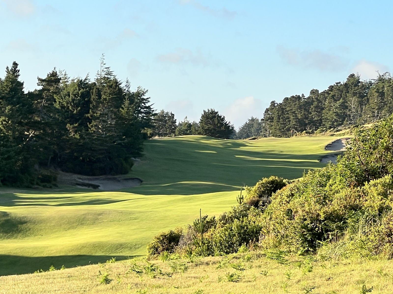 Bandon Trails Golf Course, a fairway running between meadow grass and coastal forest on the southern Oregon coast