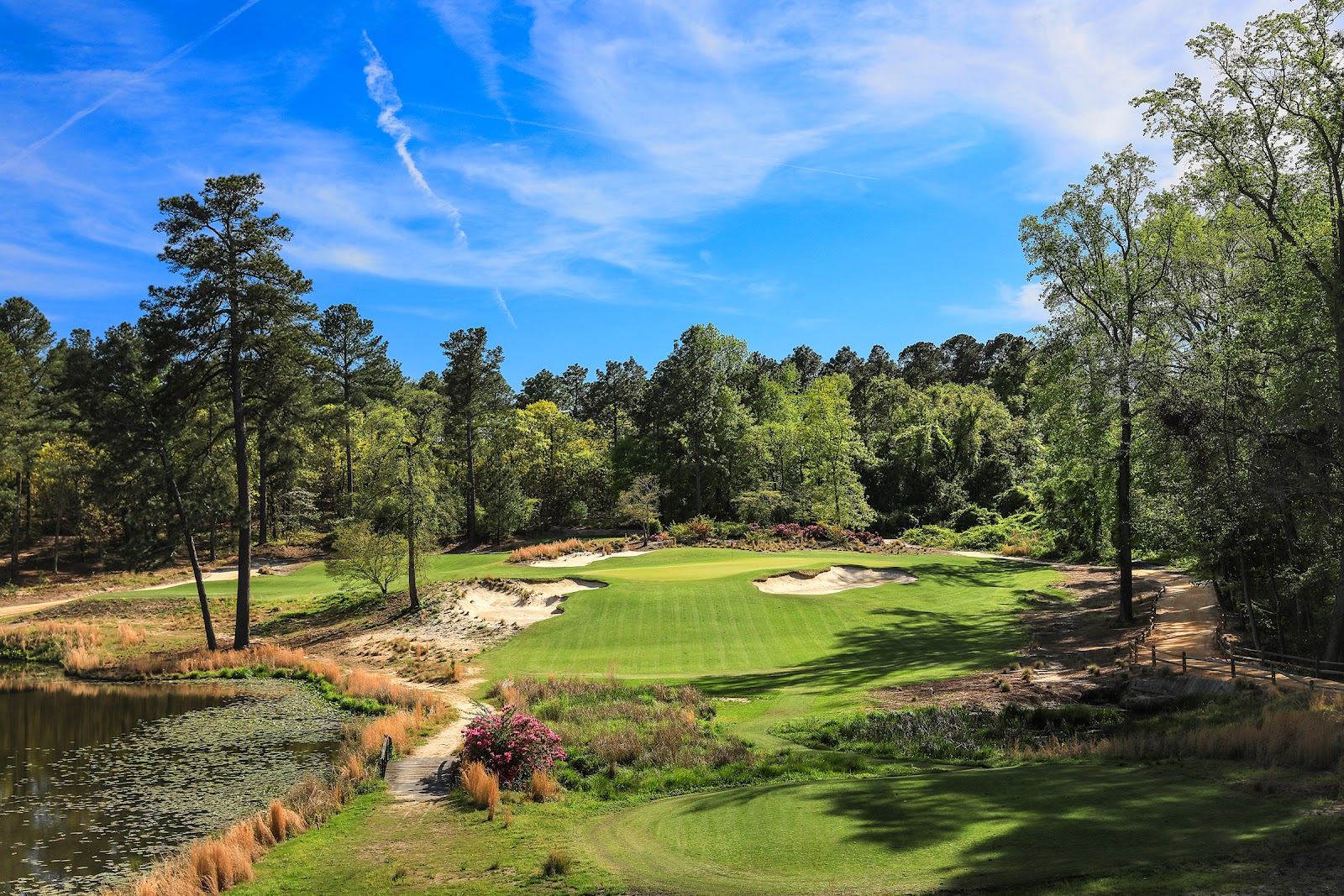 Mid Pines fairways framed by sandy native areas and longleaf pine in Southern Pines, North Carolina