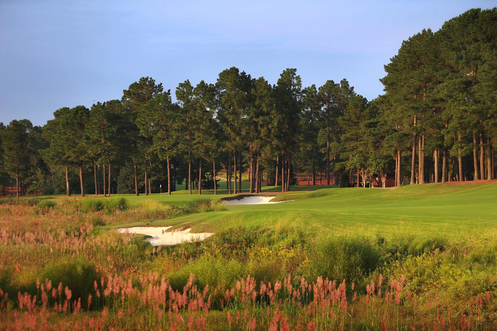 Pinehurst No. 8, the Centennial Course, routed through secluded longleaf pines in the North Carolina Sandhills