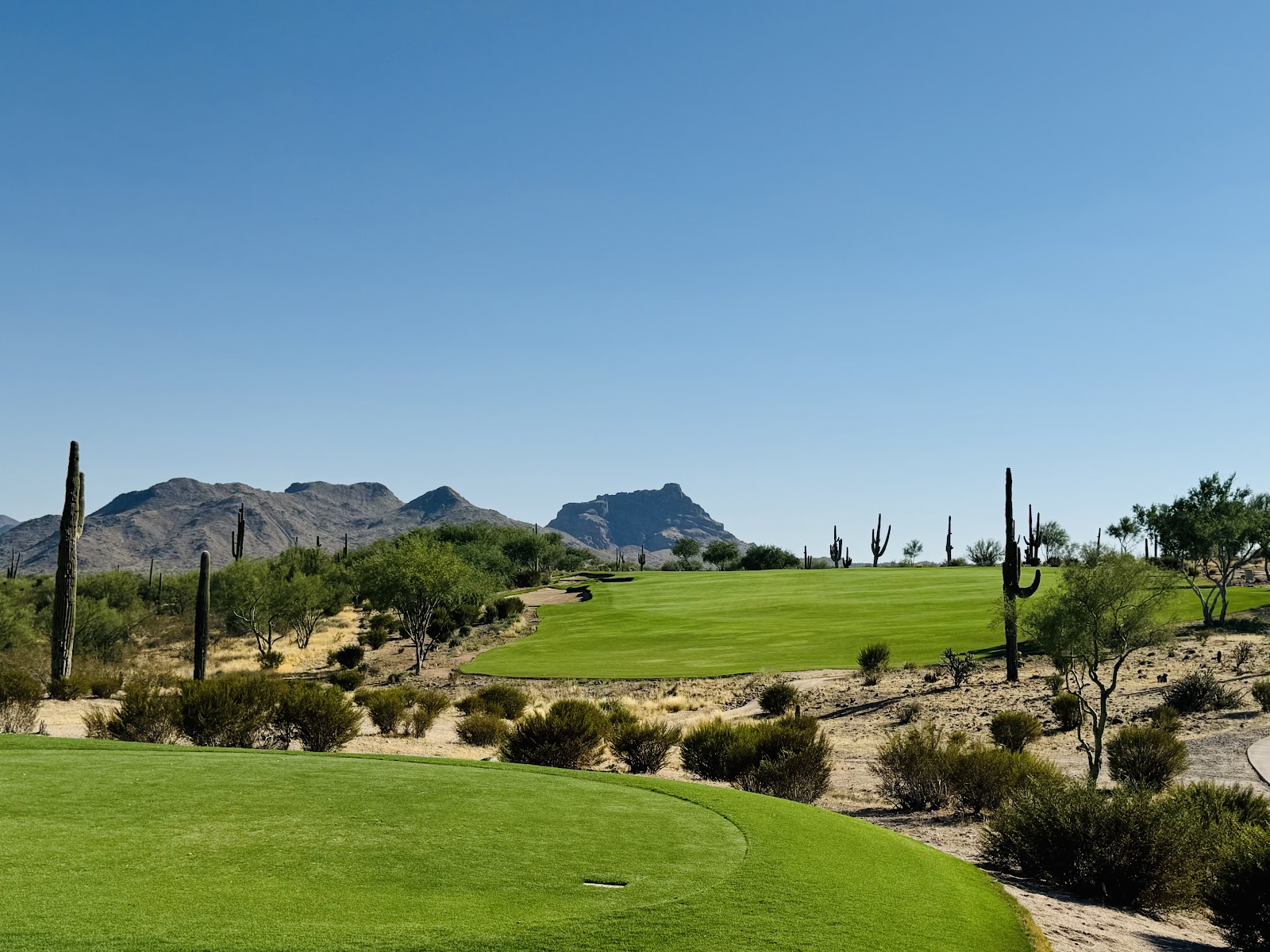 We-Ko-Pa Golf Club Saguaro Course, desert fairway lined with saguaro cactus near Scottsdale, Arizona
