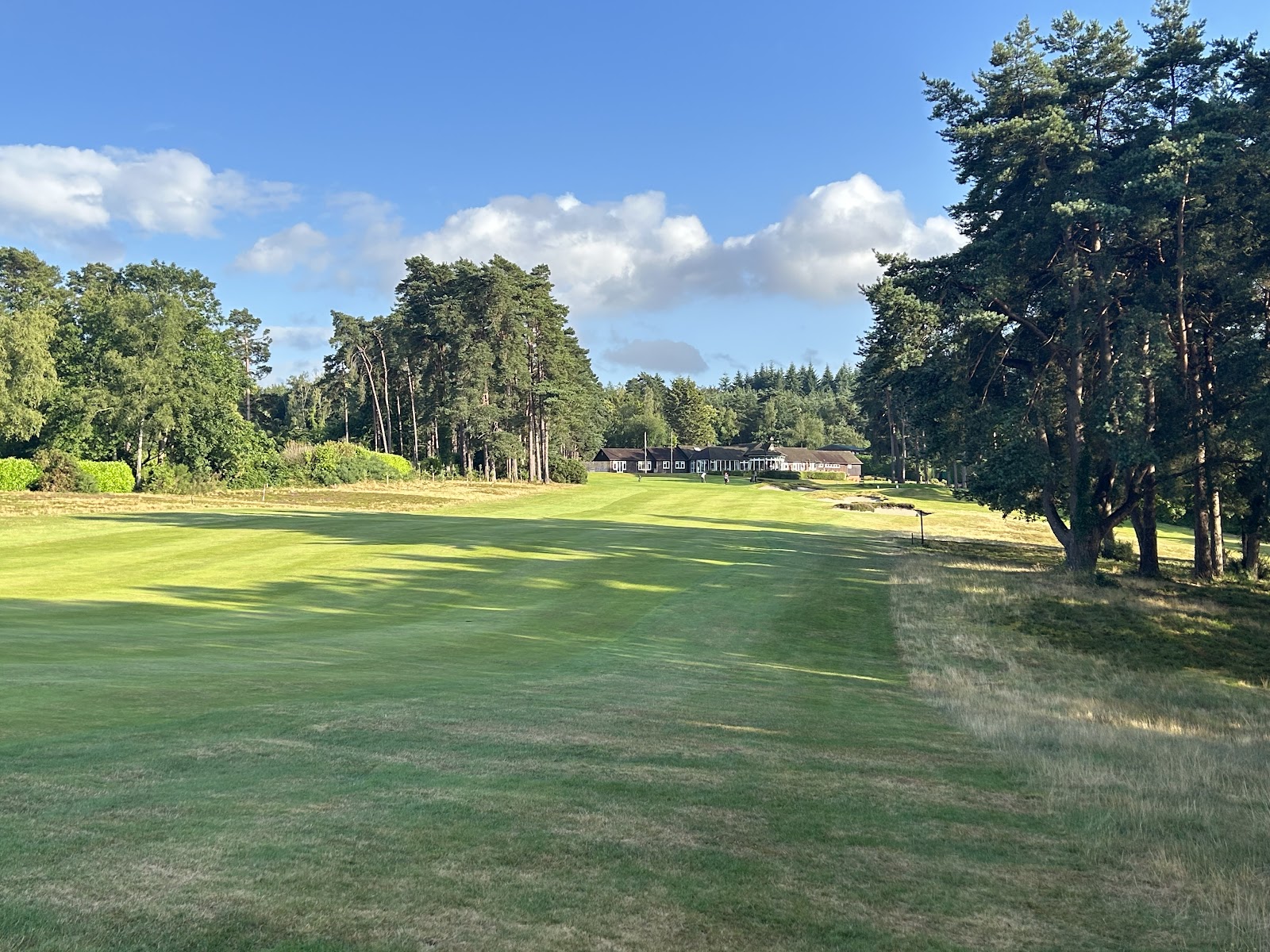 Liphook Golf Club, firm heathland fairway and heather, Hampshire, England