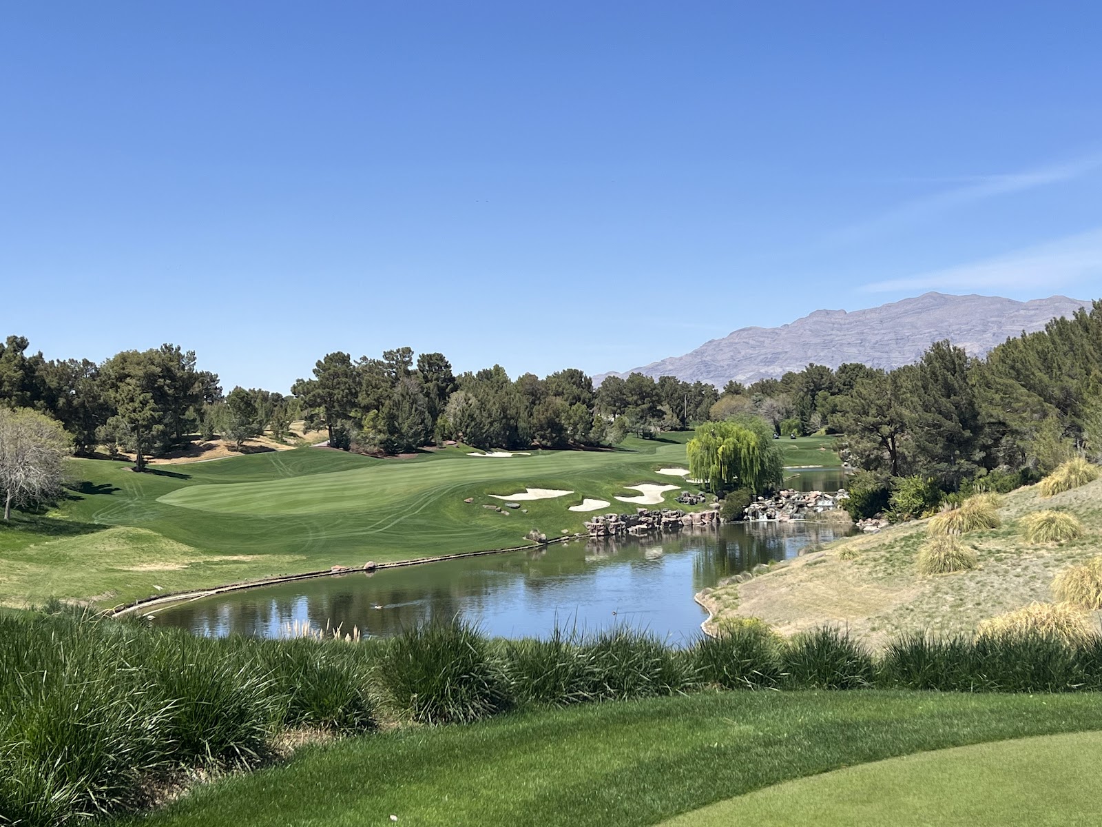 Shadow Creek Golf Course, pines and water in the desert near Las Vegas, Nevada