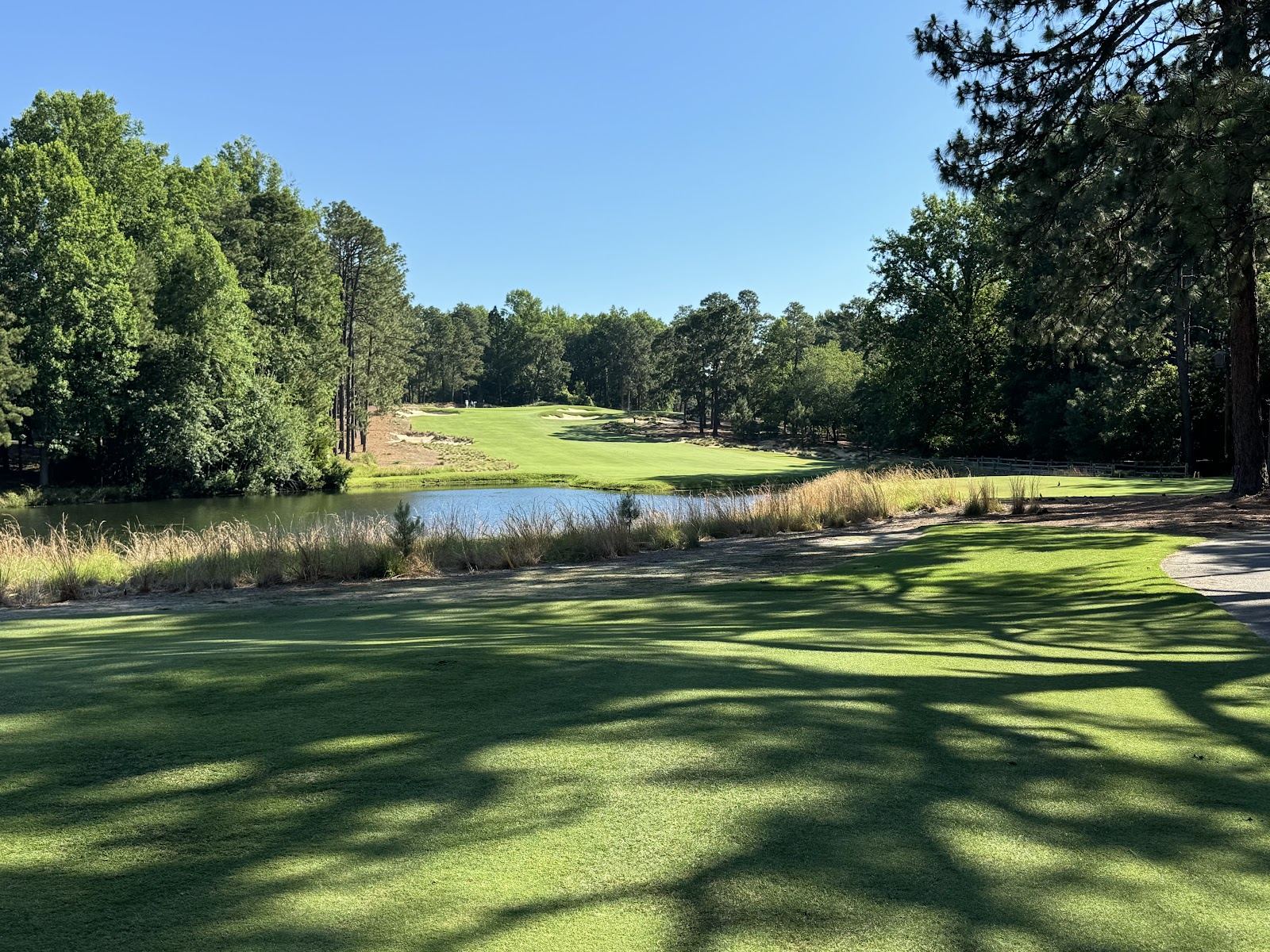 Pine Needles Lodge and Golf Club, a Donald Ross course in the Sandhills near Southern Pines, North Carolina
