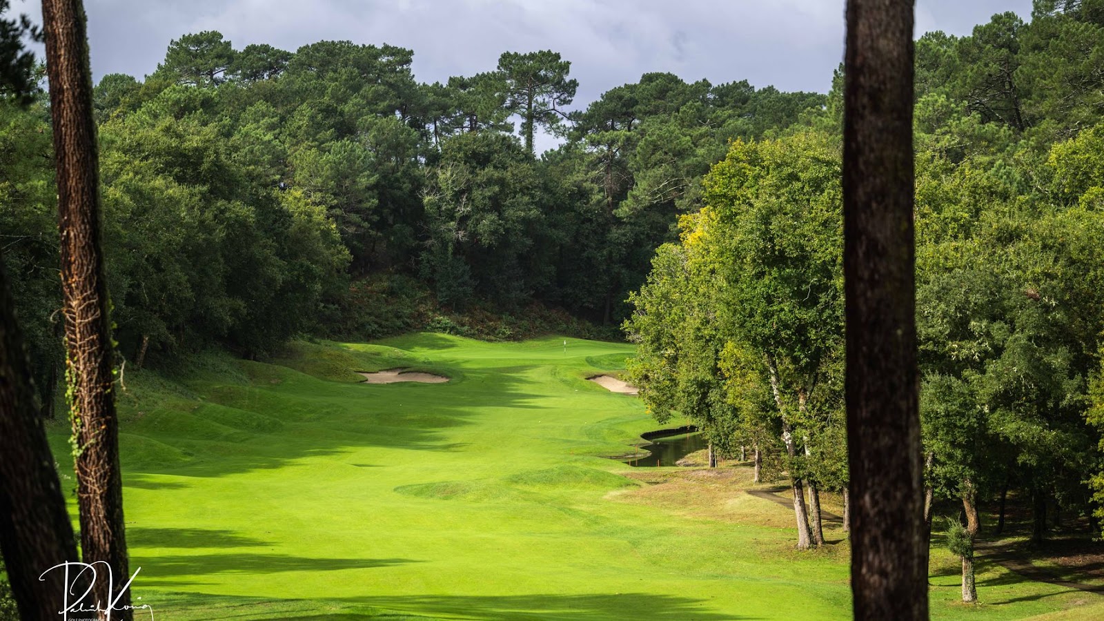 Golf de Seignosse, southwest France, fairway winding between pines near the Atlantic coast