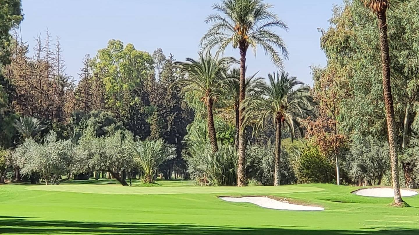 Marrakech parkland fairway with the snow capped High Atlas mountains beyond