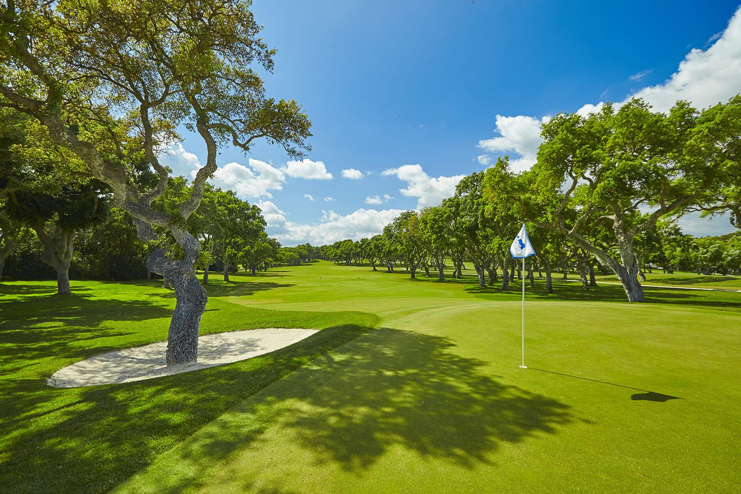 Real Club Valderrama, tree lined fairway in Sotogrande, Spain